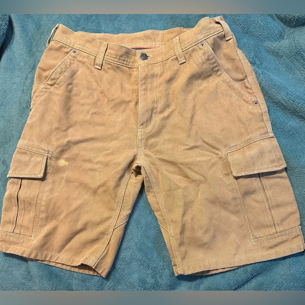 Patagonia Men's WornWear Cargo Shorts